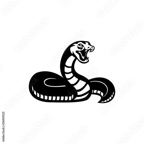 snake vector illustration 