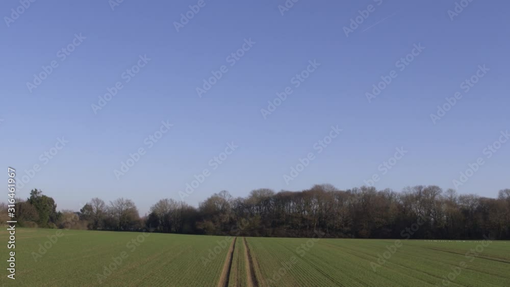 Tractor tracks in field with birds flying away, aerial drone Tractor tracks in field with birds flying away, aerial drone