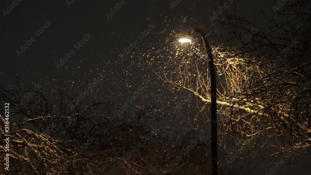 Falling snow is illuminated by a streetlamp on a winter night
