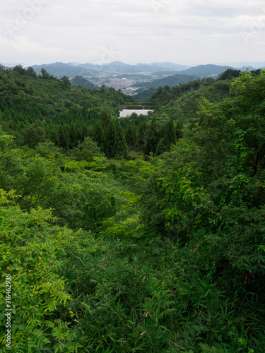 森と池と海