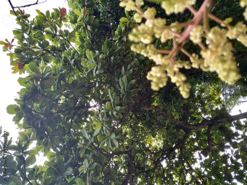 Naturaleza