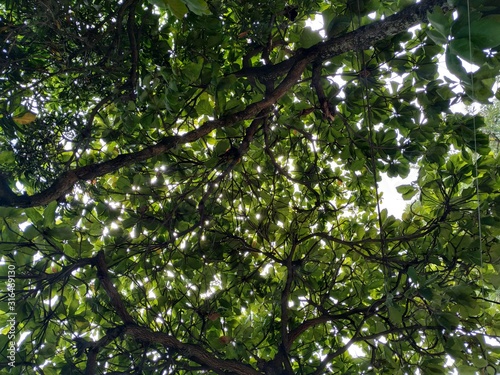 Naturaleza