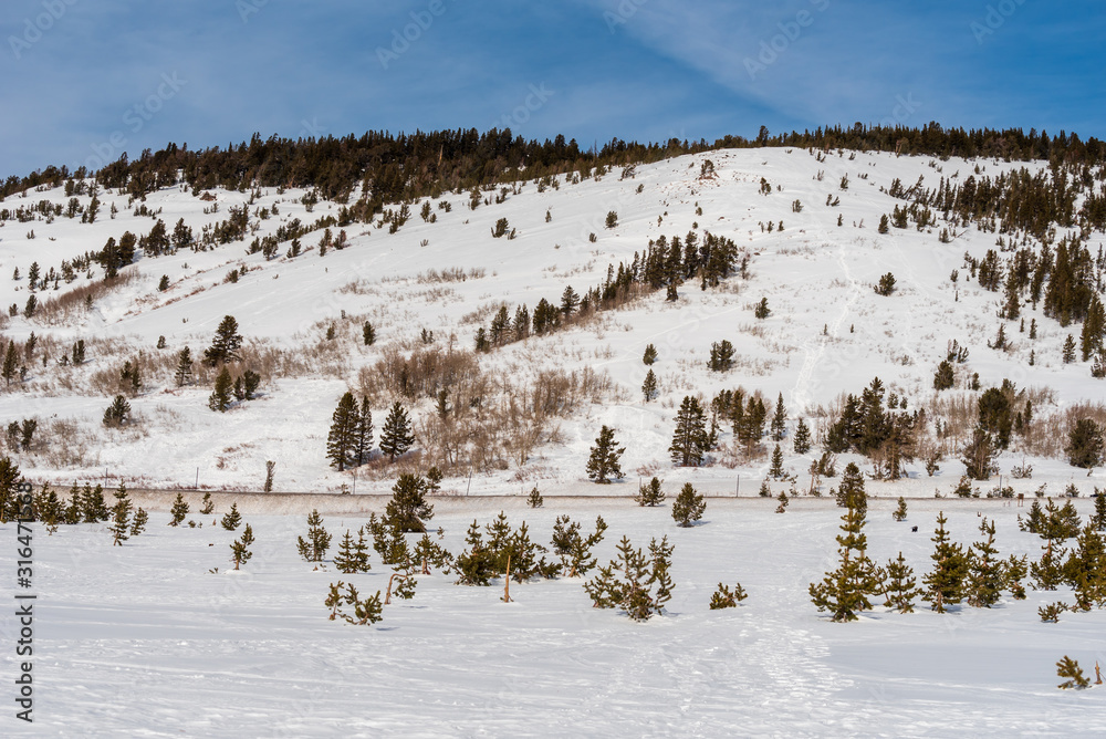 Landscape of trees and snow-covered mountain along the Mount Rose Summit highway near Incline Village, Nevada