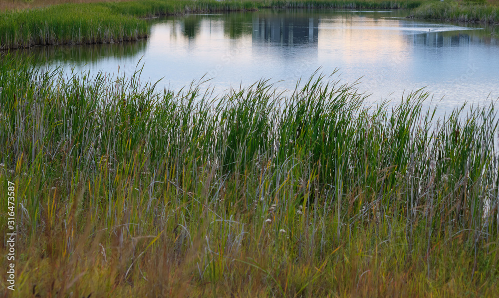 Green grass around a lake with reflection of houses in the water Green grass around a lake with reflection of houses in the water