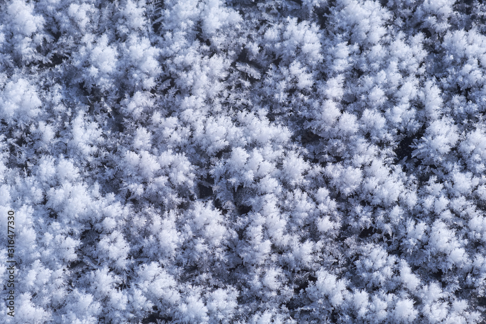 Obraz premium Snow texture. Natural winter background