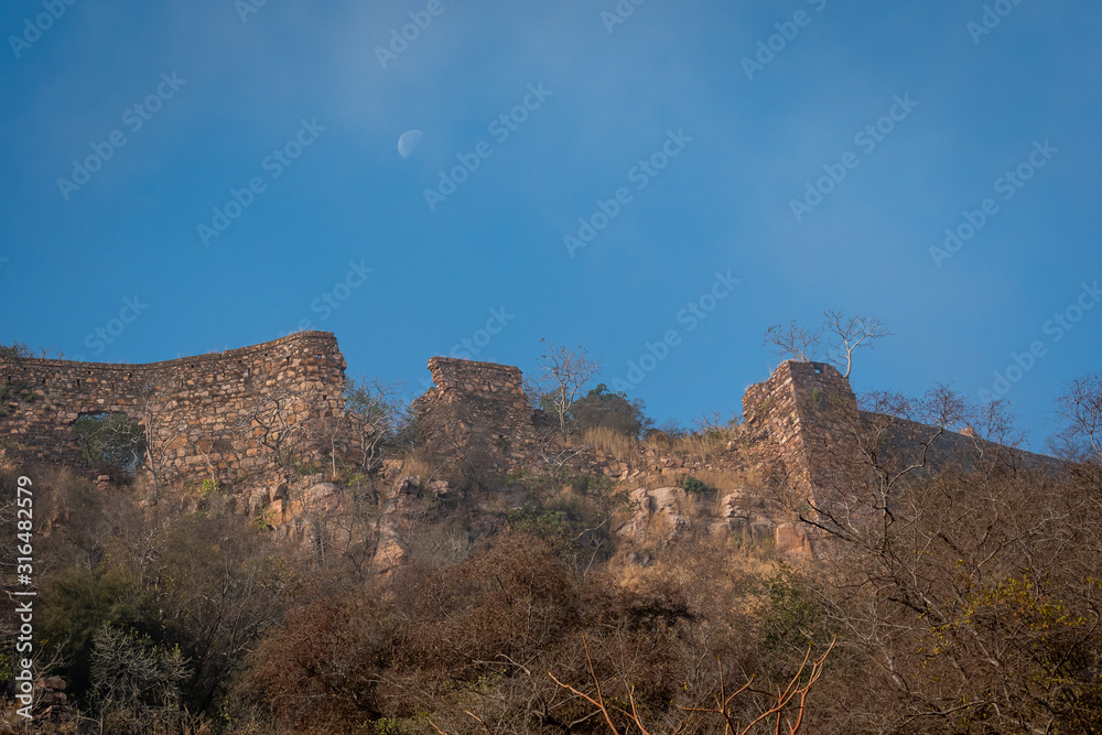 Ranthambore fort wall with moon with beautiful different perspective while visiting ranthambore national park