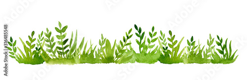 Watercolor green grass isolated on white background.