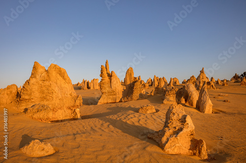 Limestone stacks basking in the late afternoon light in the Pinnacles desert in the Nambung national park located north of Perth in Western Australia