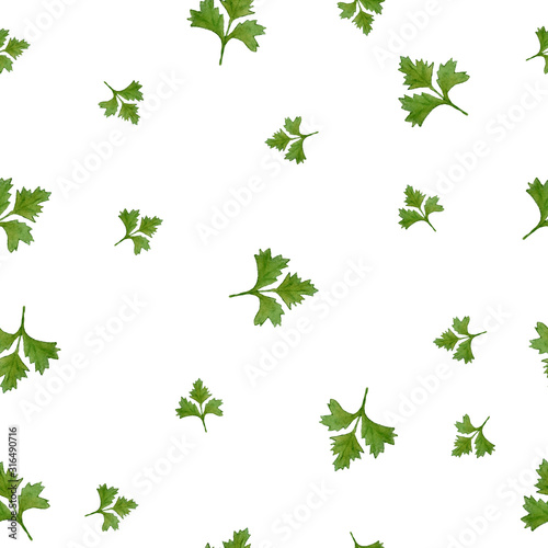 seamless watercolor hand drawn pattern with green parsley leaves leaf healthy eating food herbs greenery on white isolated background realistic botanical illustration organic vegan vegetarian food