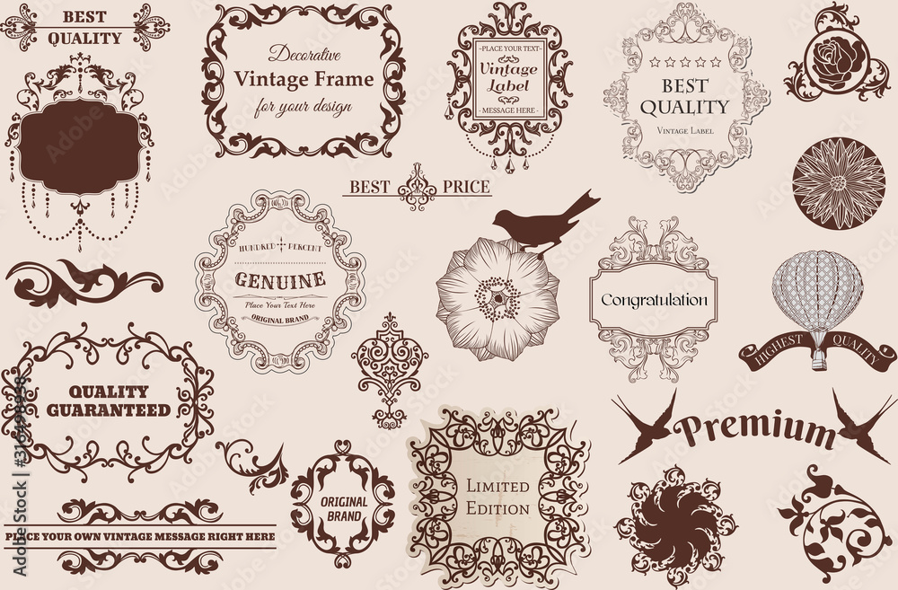 set of calligraphic creative modern vintage calligraphic design elements. Decorative swirls or scrolls, vintage elements, flourishes, labels and dividers,. Retro vector illustration