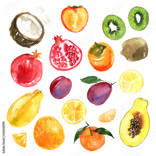 Fruits. Papaya, Kiwi, Pomegranate, Blueberry, Banana, Orange, Coconut painted with watercolor on a white background. A colored sketch of fruits.