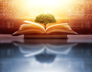 The concept of education by planting a tree of knowledge in the opening of an old book in the library and the magical magic of light that flies to the destination of success. Beautiful background