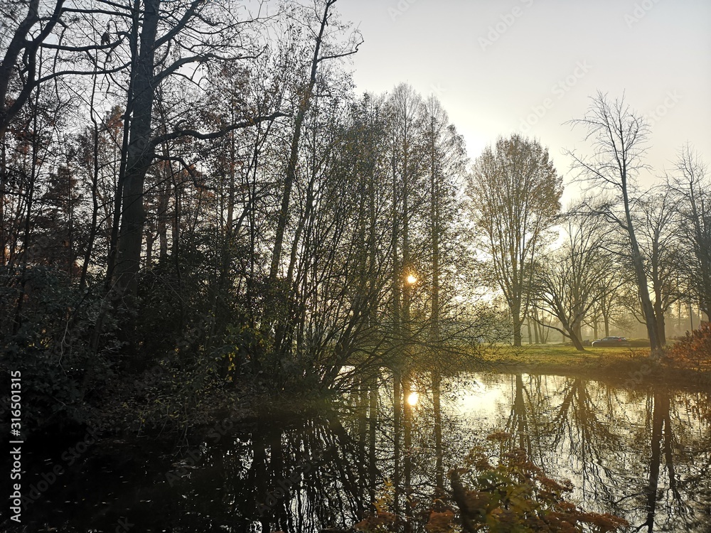 forest and beautiful landscape photo with nice light colors and sense of peace from god creation forest and beautiful landscape photo with nice light colors and sense of peace from god creation