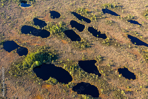 Sunset in the bog, golden marsh, lakes and nature environment. Sundown evening light in summer photo