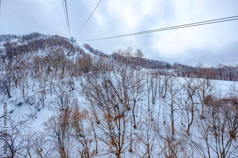 Tenguyama Ropeway Spring Tenguyama ropeway transport from the base of the mountain to the top in ...