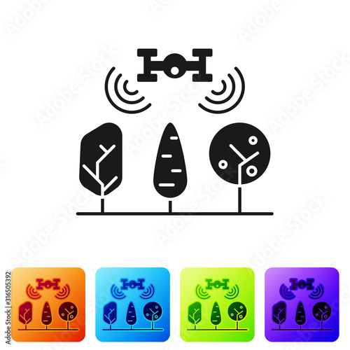 Black Smart farm with drone control and tree icon isolated on white background. Innovation technology for agricultural company. Set icons in color square buttons. Vector Illustration