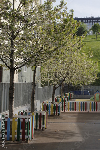 Vegetation in an urban park