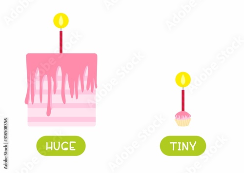 Huge and tiny antonyms word card flat vector template. Flashcard for english language learning. Big and small opposites concept. Festive cake and cupcake with candle illustration with typography