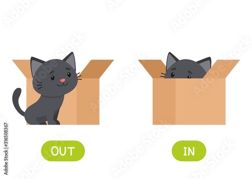 In and out antonyms word card flat vector template. Flashcard for english language learning. Opposites concept. Kitten in box and outside cartoon illustration with typography