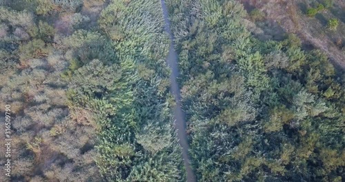 Aerial footage over Jordan River, Beit Shean Valley Jordan River, Beit Shean Valley, Drone shot, Israel photo