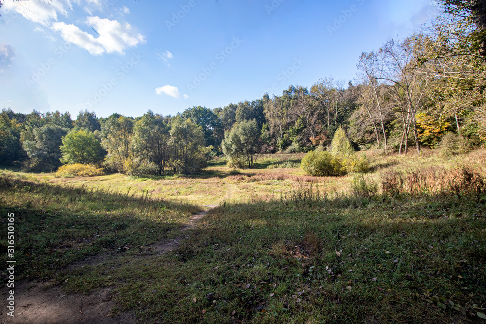 Autumn. Dry pond surrounded by trees with yellow leaves in the park Kuskovo. Moscow