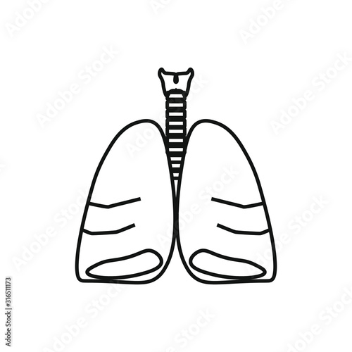vector icon anatomy of lungs and trachea