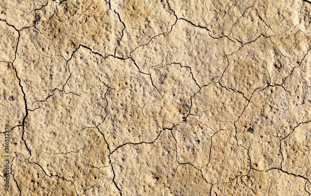 Cracked dry soil. Desert, arid climate. Natural backgrounds Cracked dry soil. Desert, arid climate. Natural backgrounds