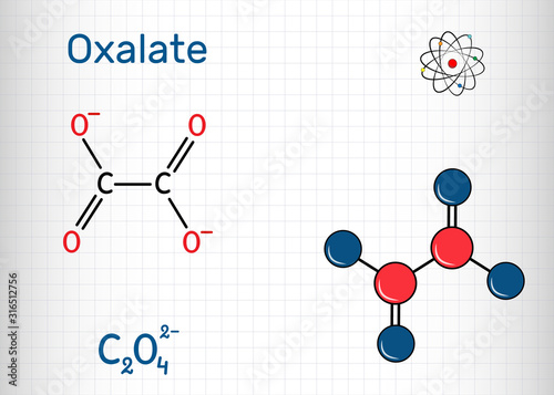 Oxalate anion, ethanedioate molecule.  Structural chemical formula and molecule model. Sheet of paper in a cage