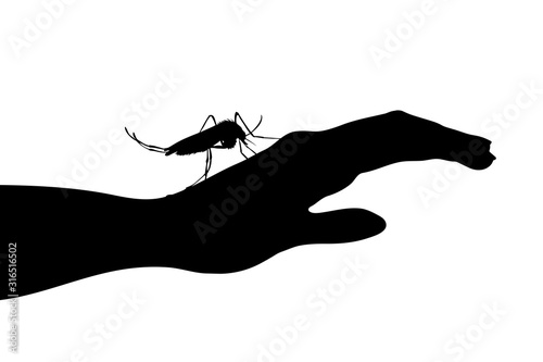 Vector silhouette of mosquito sitting on human hand on white background. Symbol of insect who annoying people. Danger of malaria and dengue disease.