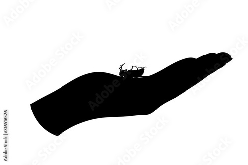Vector silhouette of fly in human palm on white background. Symbol of insect who annoying people. Danger of malaria and dengue disease.