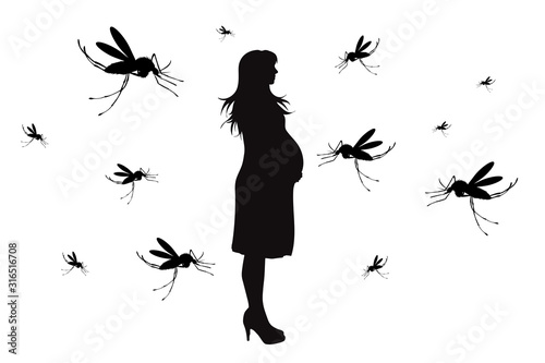 Vector silhouette of pregnant woman with mosquito on white background. Symbol of annoying and danger insect.