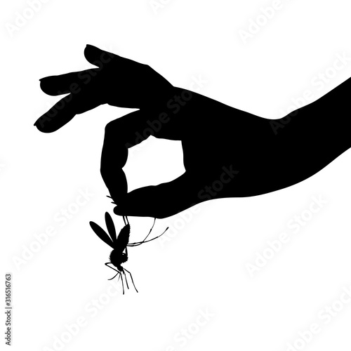 Vector silhouette of hand who catch mosquito on white background. Symbol of annoying insect.