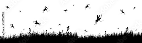 Vector silhouette of meadow with mosquitoes on white background. Symbol of nature with grass and insect. © majivecka