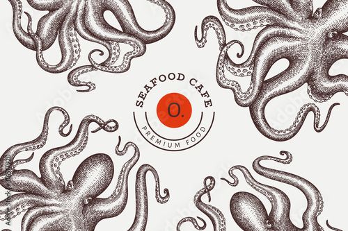 Octopus design template. Hand drawn vector seafood illustration. Engraved style squid banner. Retro zoology background