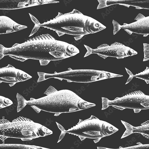Fish seamless pattern. Hand drawn vector fishes illustration on chalk board. Engraved style. Vintage different kinds of fish background.