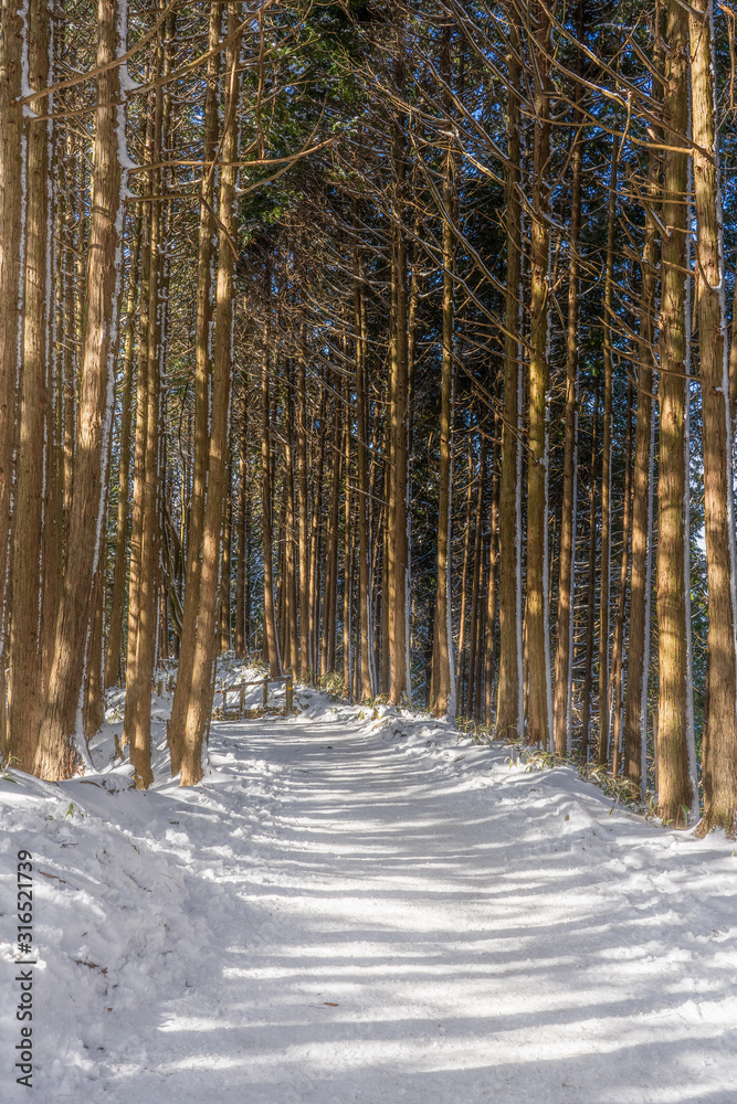 Naklejka premium 金剛山