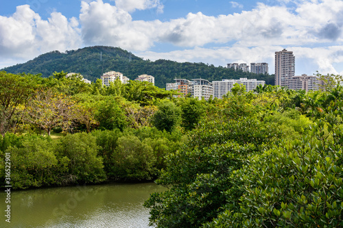 Beautiful aerial panoramic view of the city of Sanya city from Luhuitou Park. Hainan  China.