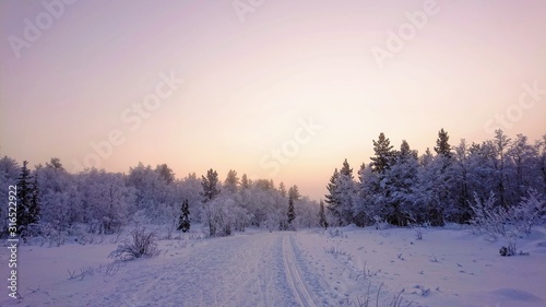 winter landscape with trees and snow © Ольга Озбетелашвили
