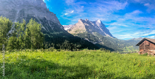 Panoramic view of Jungfrau from Grindelwald
