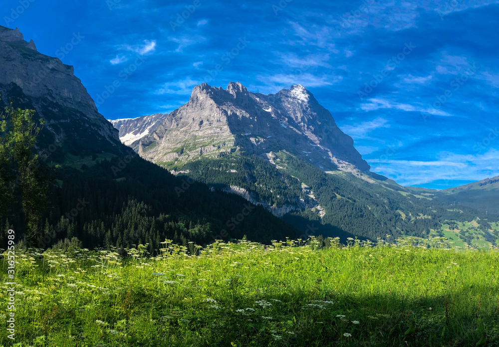 Fototapeta premium Rocky Swiss Alps above a green meadow near Grindelwald