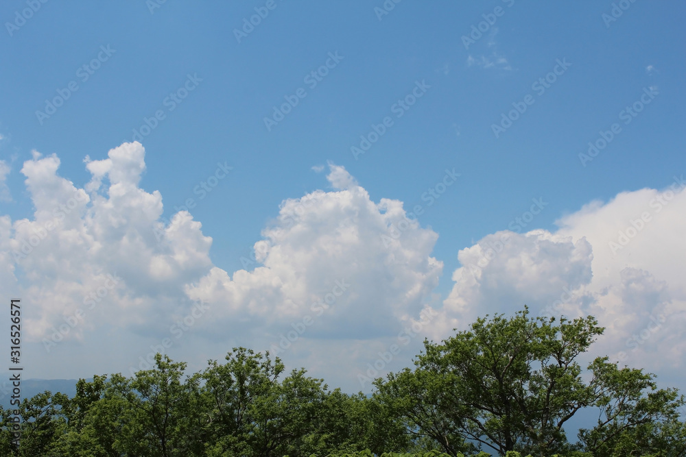 Obraz premium 空と雲と木