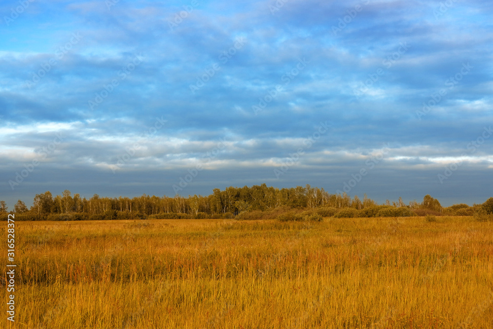 Siberian cloudy autumn landscapes, Siberia, Russia view