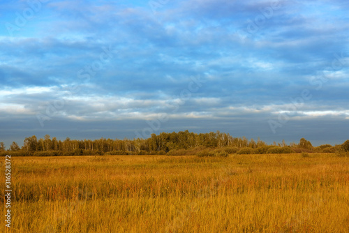 Siberian cloudy autumn landscapes, Siberia, Russia view