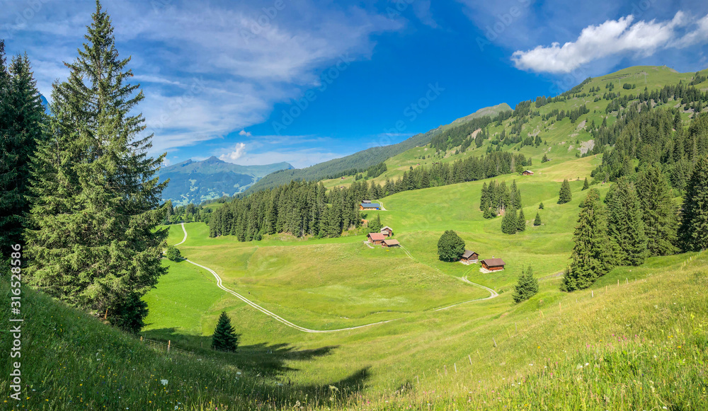 Panoramic view of Swiss Alps with cottage houses at the foot of the alpine in Grindelwald, Switzerland