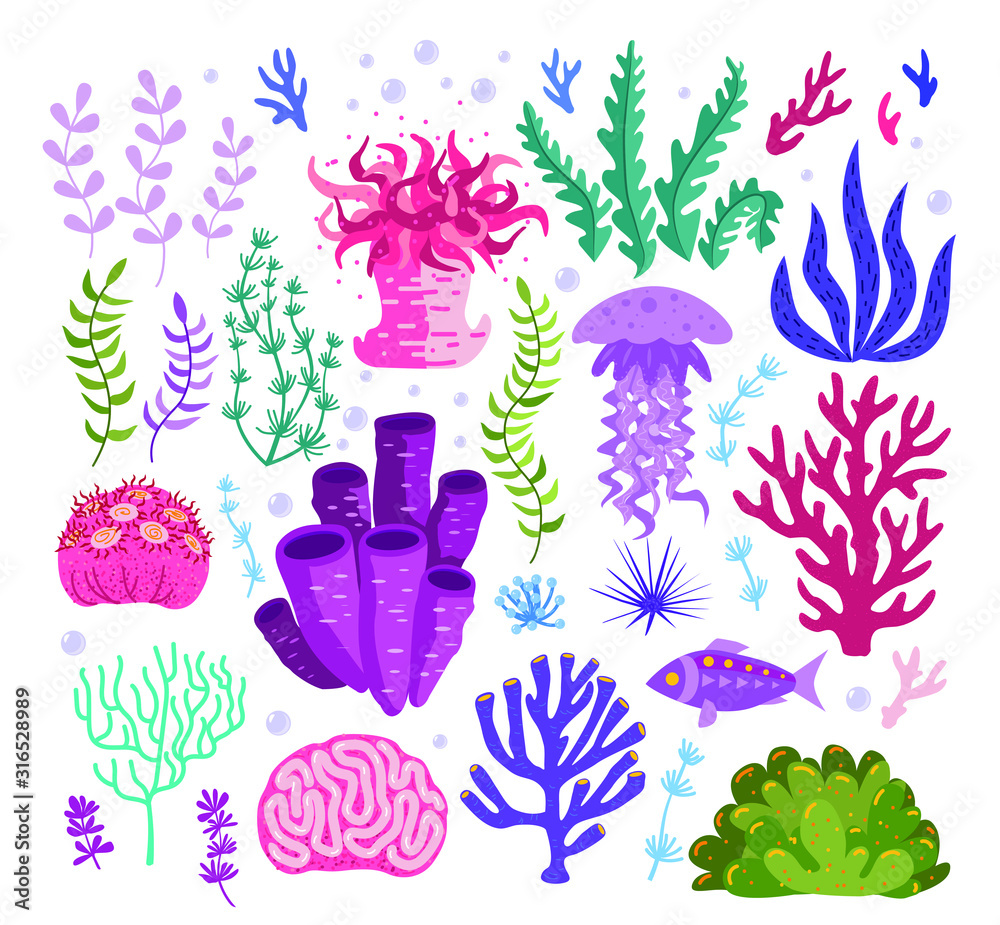 Set of underwater ocean coral reef plants, corals. Tropical coral-reef  elements, aquatic and aquarium seaweeds. Marine algae, jellyfish, fish, sea  wild life, sponges and seagrasses elements collection Stock Vector | Adobe  Stock