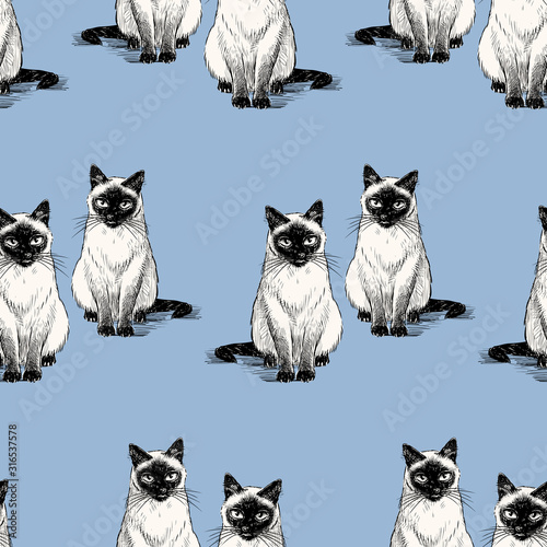 Seamless background of sketches sitting thai cats