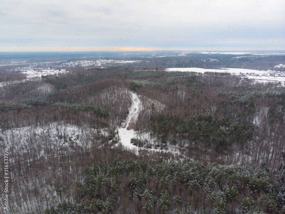 Fototapeta premium Winter nature, forest, river, village. View from above. Shooting from a copter.