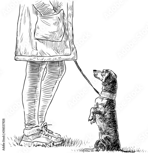 Sketch of funny dachshund with her owner strolling in city park