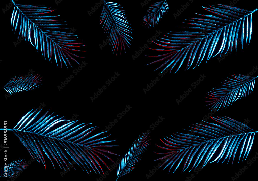 Palm leaf on black background with place for your text