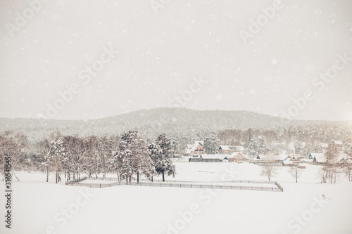 Beautiful winter nature, white snow © liliyabatyrova